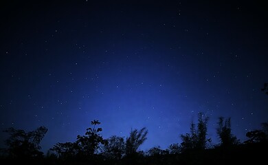 Naklejka premium starry night sky