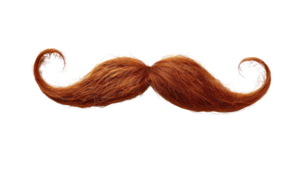 Mustache on a transparent background