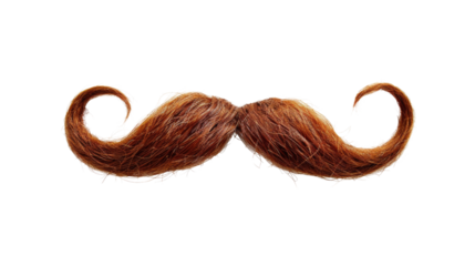 Mustache on a transparent background
