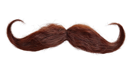 Mustache on a transparent background