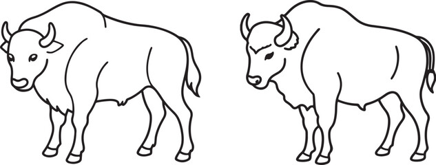 Obraz premium A vector silhouette single line art of Bison