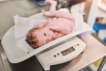 Newborn, child and baby on scale in hospital for weight measurement, health and wellness. Infant, digital and kid on balance in clinic at medical neonatal nursery to check growth of patient above