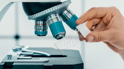 slide with biopsy slice in medical laboratory