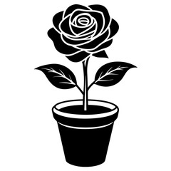 Black rose in a pot silhouette vector