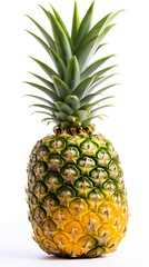 AI Image Generator of A person picking pineapples on a pineapple plantation	