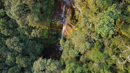 waterfall in the forest