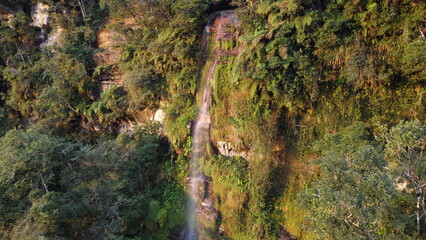 Waterfall in the jungle