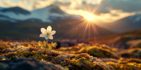 Mountain Spring with Blooming Flowers, Ai generate