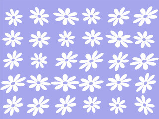 Seamless pattern with daisy flower on blue and purple backgrounds vector illustration. Cute floral print