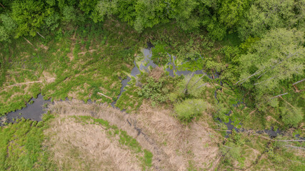 Obraz premium Forest river with dead tree logs lying over