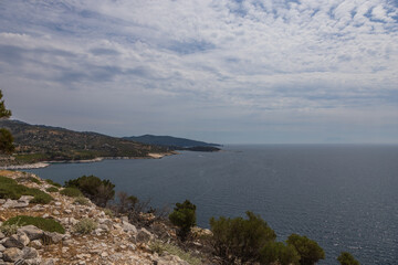 Seaside landscape with burnt trees after fire. Alyki area Thassos island Greece. Trees are already turning green in places.