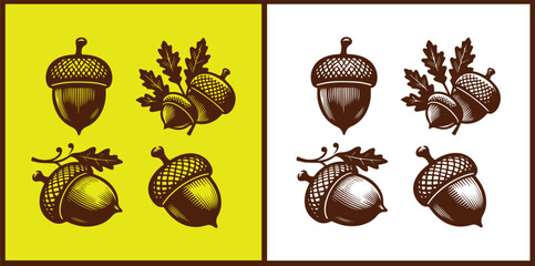 acorn icon set Oak nut Oak seed Oak apple collection Vector illustration
