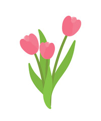 Pink Tulip Flower Plant in Flat Cartoon Vector Illustration