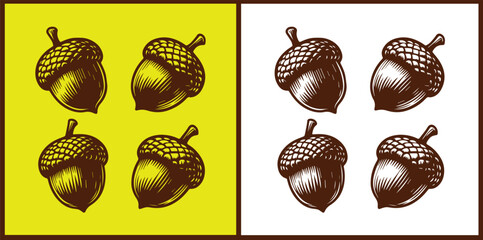acorn icon set Oak nut Oak seed Oak apple collection Vector illustration