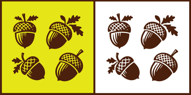 acorn icon set Oak nut Oak seed Oak apple collection Vector illustration