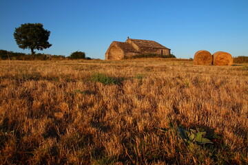 The chapel of Saint Amans and surrounding fields in the last rays of the sun on a July day (Hérault, Occitanie, France)

