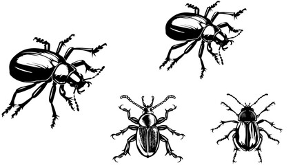 Set of Hand Drawn Insects or Small Animals Sketch Vector Illustration Isolated on White Background
Hand-sketched insects collection. Hand drawn beetles, bugs, moths,
bee set in vintage style. Entomolo