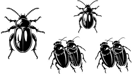 Set of Hand Drawn Insects or Small Animals Sketch Vector Illustration Isolated on White Background
Hand-sketched insects collection. Hand drawn beetles, bugs, moths,
bee set in vintage style. Entomolo