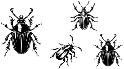 Set of Hand Drawn Insects or Small Animals Sketch Vector Illustration Isolated on White Background
Hand-sketched insects collection. Hand drawn beetles, bugs, moths,
bee set in vintage style. Entomolo