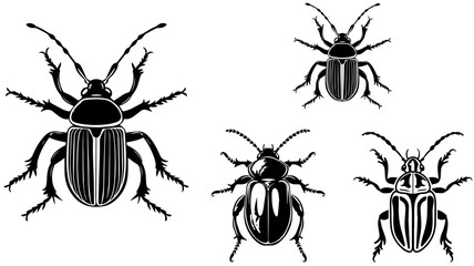 Set of Hand Drawn Insects or Small Animals Sketch Vector Illustration Isolated on White Background
Hand-sketched insects collection. Hand drawn beetles, bugs, moths,
bee set in vintage style. Entomolo