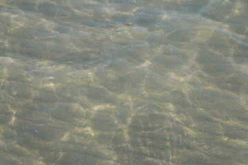 Ripples on the water.
