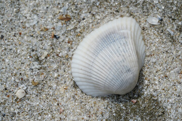 Sam Phraya Beach In Sam Roi Yot National Park Prachuap Khiri Khan Province, Thailand. When the sea level receded, a strange sand surface was visible. Photographed on 22 June 2024.