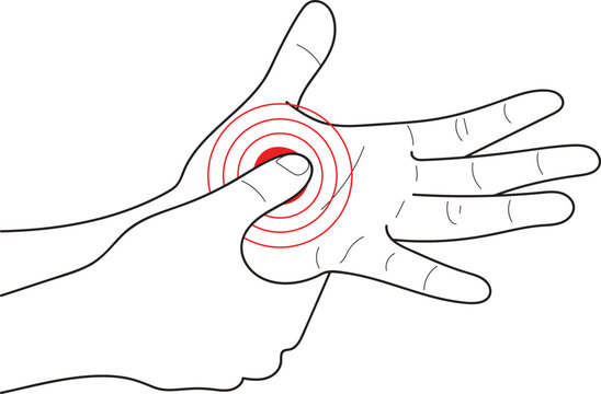 Acupuncture points on hand, Human anatomy,Hand drawn in thin line style