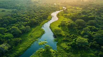 Aerial view of a serene national park with diverse wildlife and natural landscapes, Realism, HighResolution, Photography, conservation and adventure