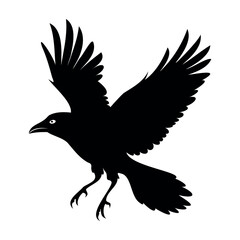 Flying Crow bird silhouette vector illustration perfect for logo design, art projects, and graphic design. Crow Birds Collection