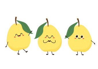 Asian pear whole fruit and half isolated on white background. Vector illustration of tropical exotic fruits in flat style.