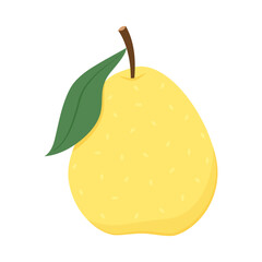 Asian pear whole fruit and half isolated on white background. Vector illustration of tropical exotic fruits in flat style.