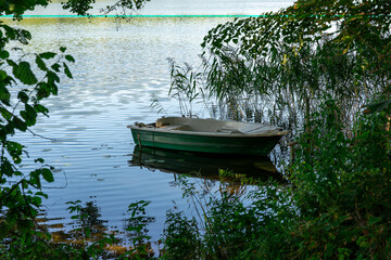 Green boat moored on the shore, in the shade of the forest and surrounded by aquatic vegetation
