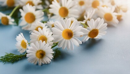 Obraz premium flowers on a table