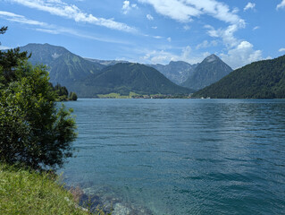 Achensee. Hinten die Alpen in Tirol. Baum im Vordergrund