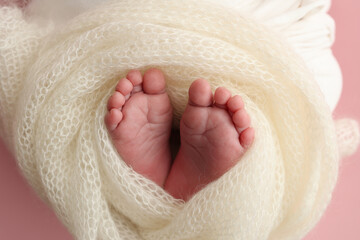 The tiny foot of a newborn. Soft feet of a newborn in a white woolen blanket, pink background. Close up of toes, heels and feet of a newborn baby. Studio Macro photography. Woman's happiness.