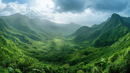 Fototapeta premium A lush green valley with mountains in the background