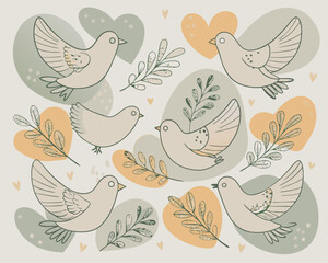Fototapeta premium cute dove v5