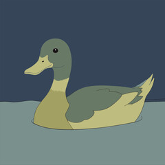 A colorful duck vector eps