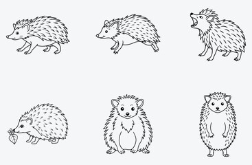Obraz premium Ultimate Hedgehog Line Art set Collection