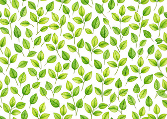 A seamless pattern of green leaves on a transparent background. little green leaves seamless background. Generative AI