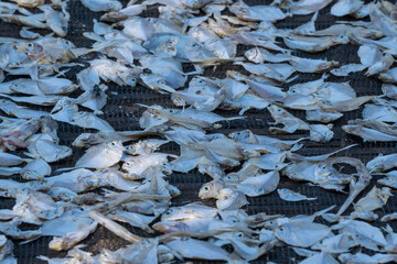 a close-up of dried salted fish.