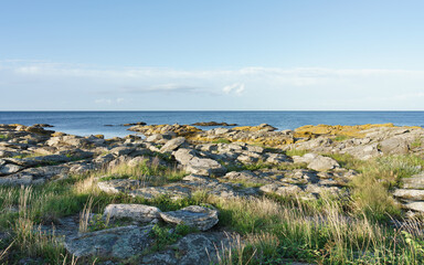 Felsige Küste an der Ostsee