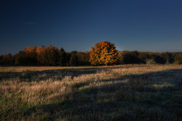 Jesienny poranek © Robert