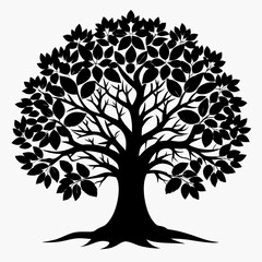 Obraz premium silhouette of tree