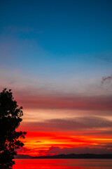 Silhouette of leaves on the beach at sunset
