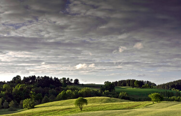Obłoki nad polami © Robert