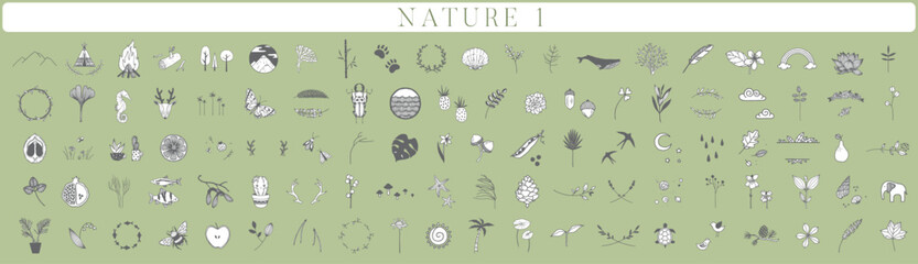 150 Handdrawn nature elements, Doodle illustrations, Animals, Botanical, Floral, Drawing, Illustration, Set, Collection
