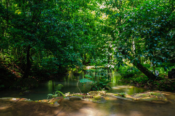 Fototapeta premium Waterfall in the national park forest