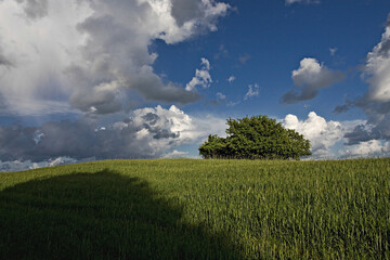 Obłoki nad polami © Robert