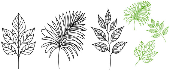 Tropical leaves vector illustration. Black and white